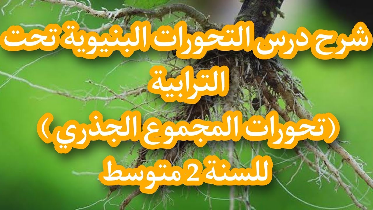 شرح درس التحورات البنيوية تحت الترابية ( تحورات المجموع الجذري ) للسنة 2 متوسط