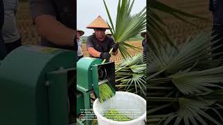 Portable Leaf Shredder Machine Processing Palm Fronds in Agricultural Field