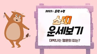 2022년(임인년) 대박나는 띠별 음력 6월 운세_소띠(26, 38, 50, 62, 74세)_소름돋는 인천 …