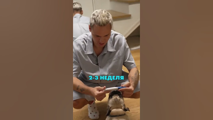РЕАКЦИЯ ДИМЫ НА БЕРЕМЕННОСТЬ АНИ ИЩУК #рекомендации #tiktok #аняищук #димасблог #тикток #shorts