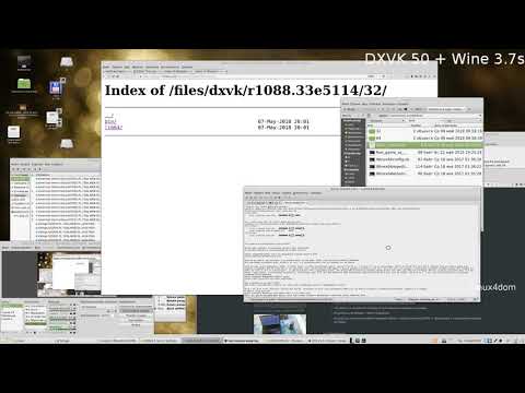 Настройка DXVK в Доп. wineprefix na Linux Mint 18