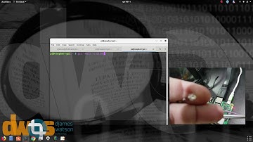 Como usar o GPIO do Raspberry com Python e C