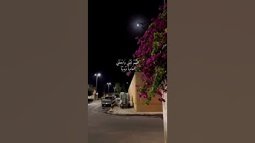 سورة الانعام من يرد الله ان يهديه يشرح صدره للاسلام🤲🏻