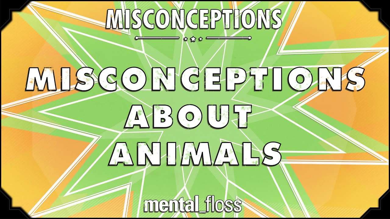 Misconceptions About Popular Animals