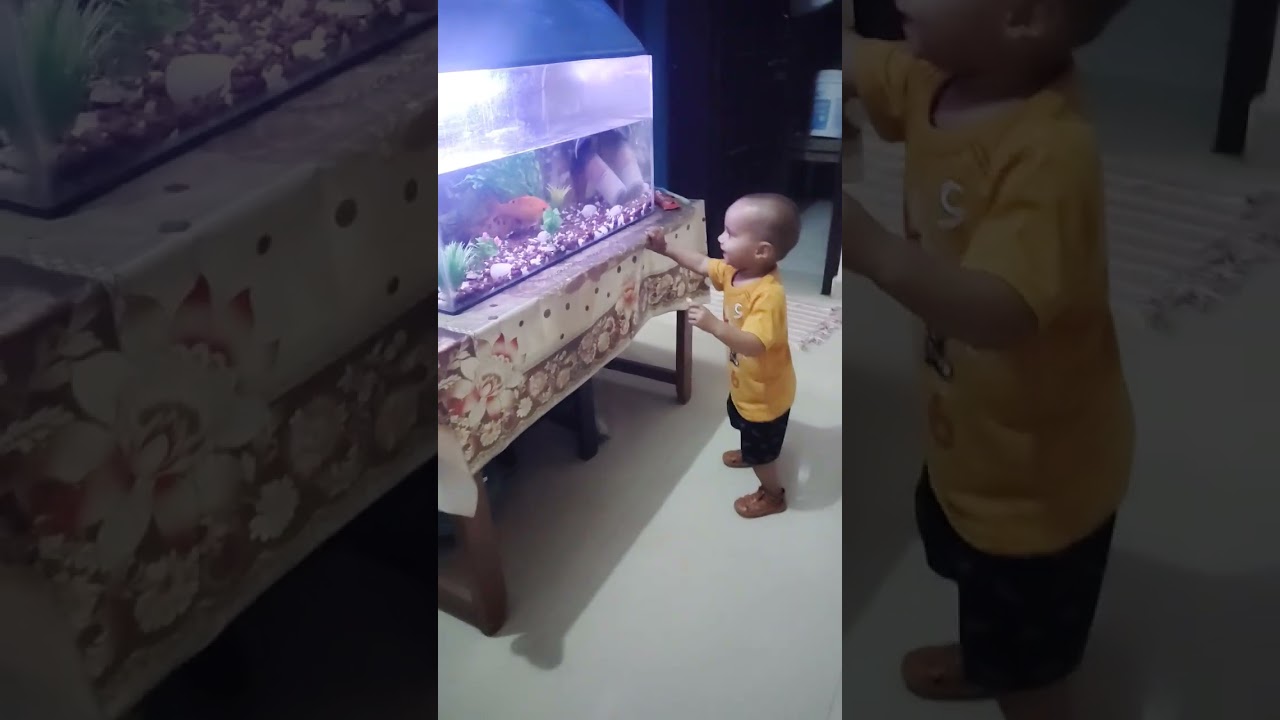 #cute #baby #shorts #video