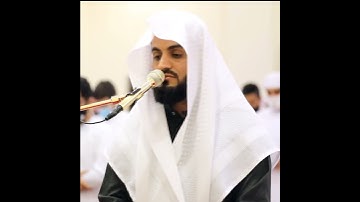 رعد الكردي // قرآن كريم // حالات واتس اب// ستوريات انستغرام💜🌷