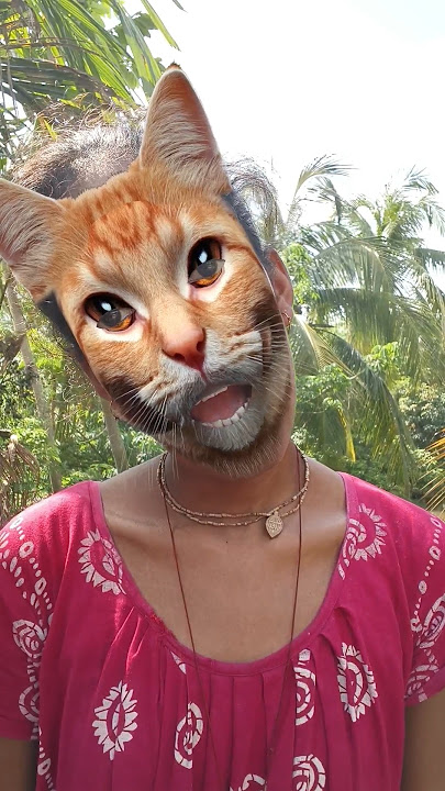 Kucing Minta Susu @MakanMania