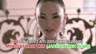 Paijo - Zaskia Gotik ( KARAOKE NO VOCAL + VC ) Resimi