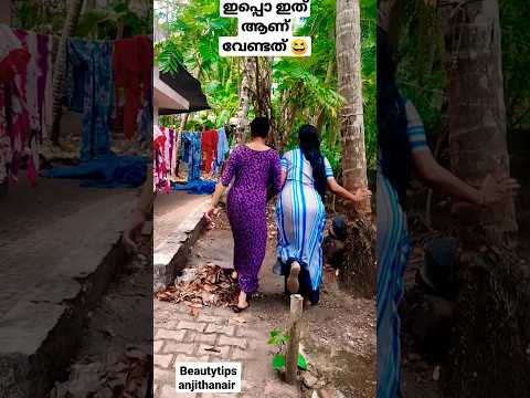 Videó: Hol nőnek a bougainvillea fák?