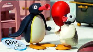 Pingu and Pinga🐧 | Fisher-Price | Cartoons For Kids