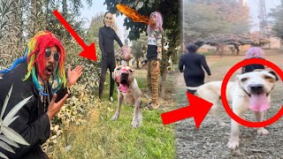 Gabbar Mil Gya❤️ Black Man Or Fire Man Zinda Ha😡@PetHouse786 