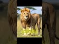 vijay Thalapathi pm #automobile #gadgets #video #shortvideo #viral