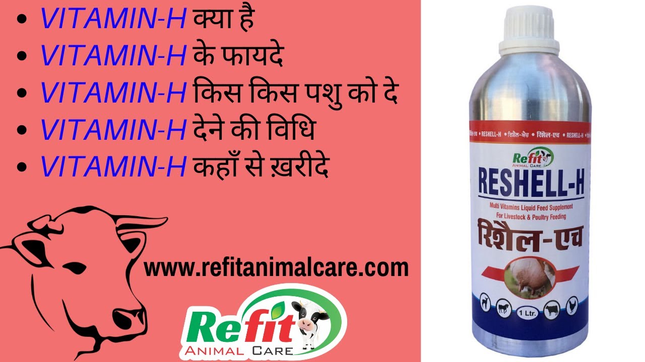 लेवटी Udder बढ़ाने के उपाय - विटामिन h क्या है और फायदे - Vitamin H for  cow, buffalo & animals-Hindi - YouTube