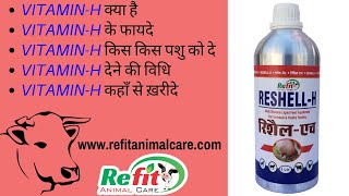 लेवटी Udder बढ़ाने के उपाय - विटामिन h क्या है और फायदे - Vitamin H for cow, buffalo & animals-Hindi