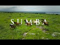 Sumba Indonesia A Hidden Paradise Of Nature Culture 