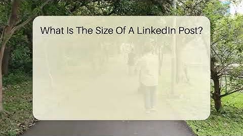 What Is The Size Of A LinkedIn Post? - Everyday-Networking