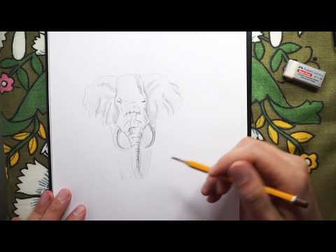 Как нарисовать слона карандашом за 19 минут - Хочу Рисовать!