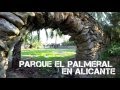 Orihuela, Historia del Mediterráneo - YouTube