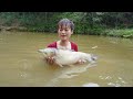 Girl harvests fish and sells it in the village  catch fish unbelievable cast net fishing