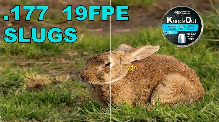 Pest Control No 75   177 19FPE Precision