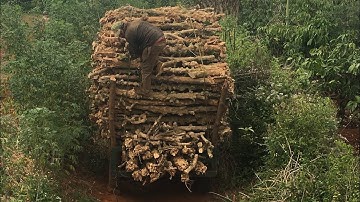 Tập 58 xe công nông chở củi cà phê gẫy cổ quay trở lại lợi hại hơn xưa