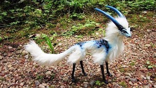 दुनिया के 5 सबसे अजीबो-गरीब जानवर Unique Animals You Won’t Believe Exist