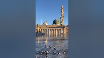 #أحمد_بن_طالب #سورة_الزمر #kuran #تلاوة_خاشعة #قرآن #قران_كريم #القرآن_الكريم #القرآن #مكة #مدينة