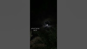 ما تيسر من سورة الاسراء بصوت الشيخ فارس عباد 🤍