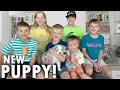 NEW PUPPY SURPRISE!