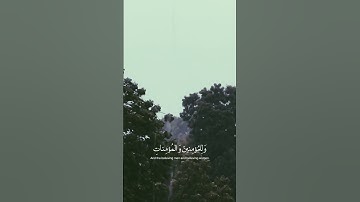 رب اغفر لي ولوالدي | سورة نوح | القارئ علي جابر