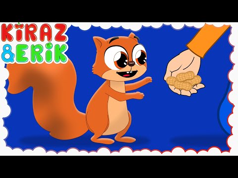 YAVRU SİNCAP NEREDESİN? 🐿️🤗 | Eğlenceli Çocuk ve Bebek Şarkıları | Okul Öncesi | Kiraz ve Erik