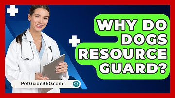 Why Do Dogs Resource Guard? - PetGuide360.com