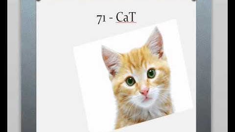 How to Improve your Memory - Image Collection from 70 to 79