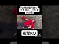 【続きはコメント欄】この後赤グローブが脳震盪を起こし記憶を飛ばします