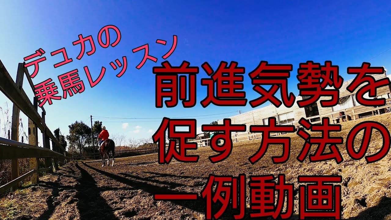 【乗馬】前進気勢を促す一例動画と余談【馬ブログ】