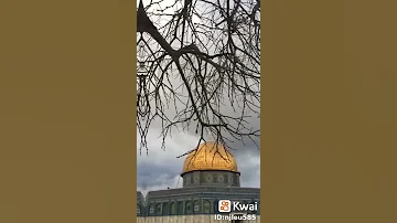 من يدرى يا قدسى 