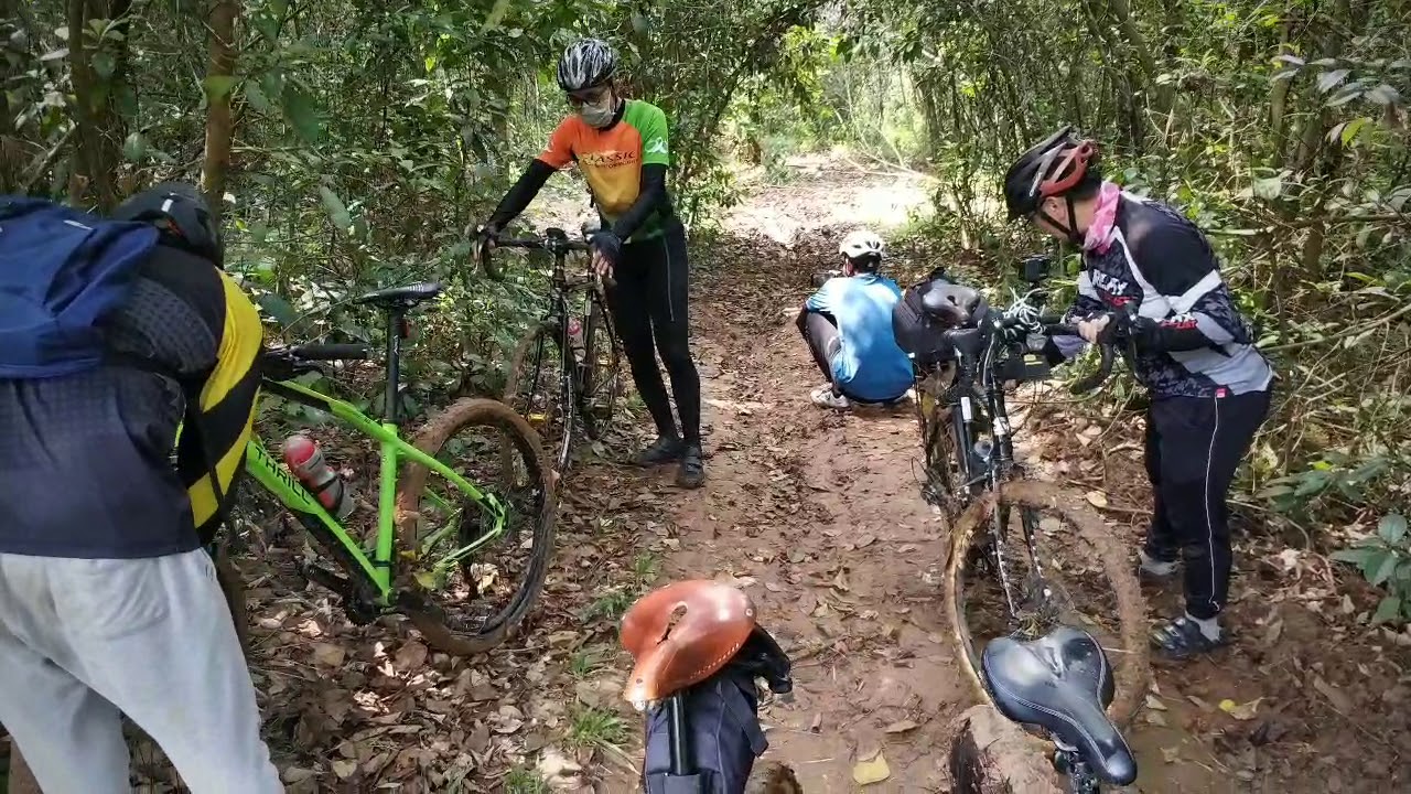 GOWES BLUSUKAN HUTAN AKASIA  PARUNG PANJANG YouTube