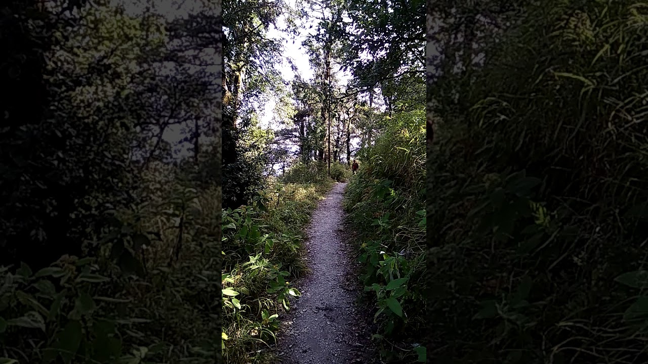 Cheena Peak or Naini Peak Trek 