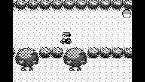 Pokemon Red 1:56 Speed Run Segment 25