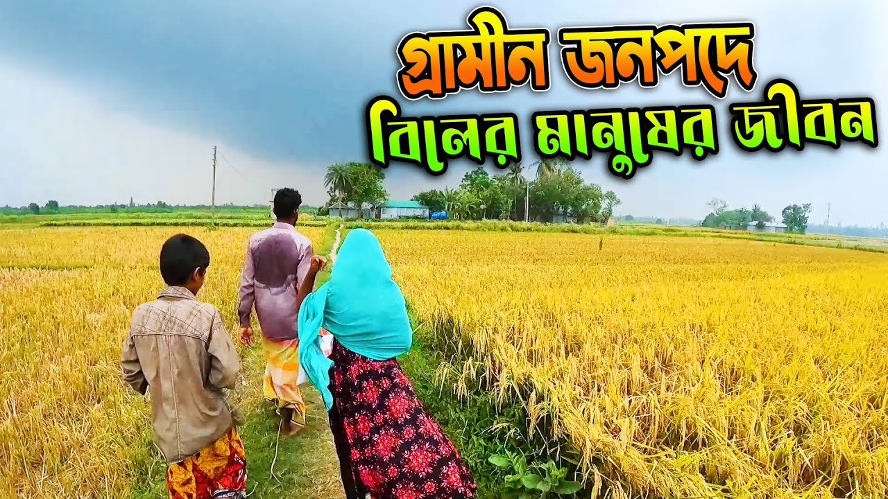 গ্রামীন জনপদে বিলের মানুষের জীবন