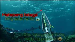 Dito talaga bumibilis kibo ng puso ko sa isdang ito😅#spearfishingphilippines