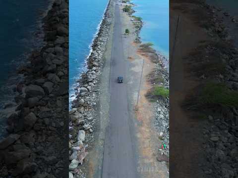 Video: Pláže Vieques, turistický sprievodca Portorikom