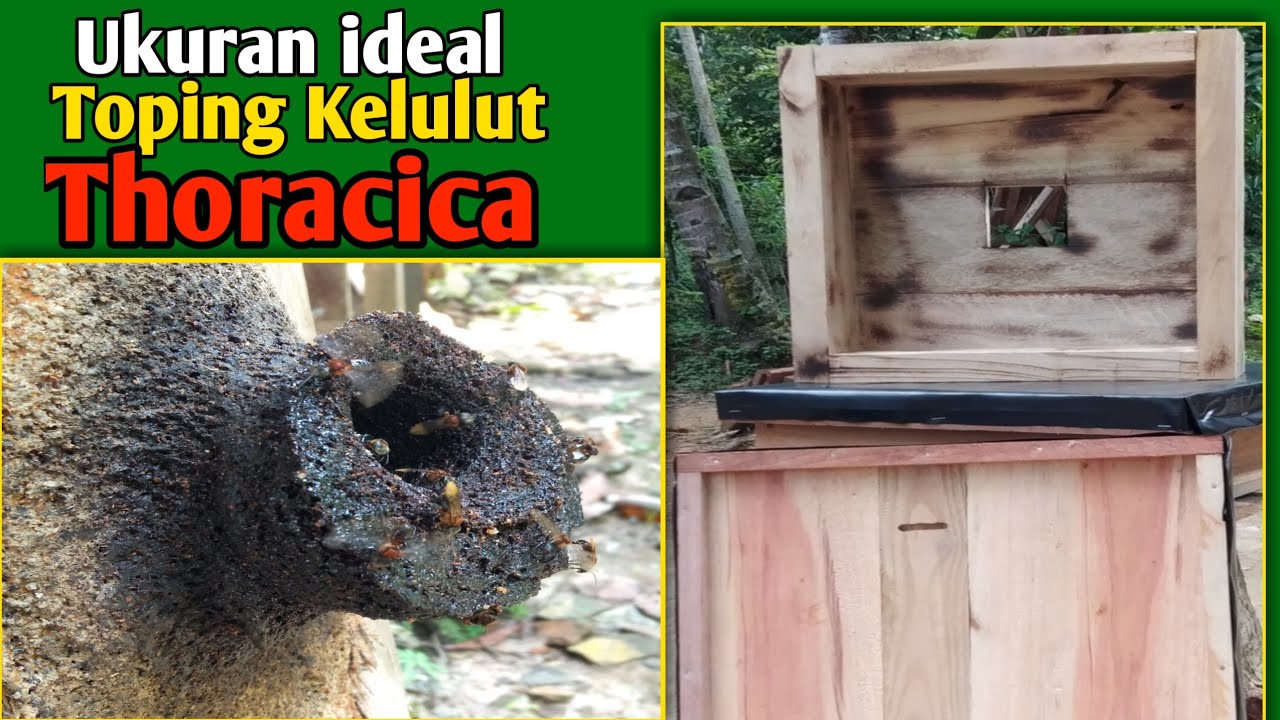 Haqiqiy fisting porno