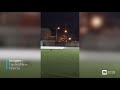 Raposa invade estádio e brinca com bola em Viana do Castelo