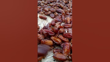 Best Quality🌴Dates Dry Process. #trending #satisfying #shortvideo #shorts