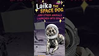 #satellite #laika  #history #learn #facts #english#USA#russia #space #science #nasa