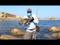 Wrasse fishing in paradise, Isles of Scilly