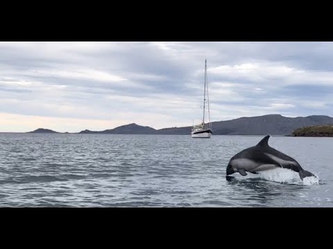 A voyage to Patagonia
