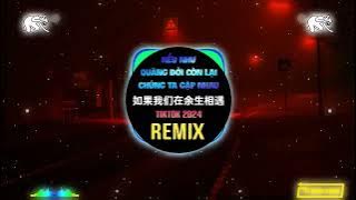 RE-D,是二哈ya - 如果我们在余生相遇 (抖音DJHZ版) Nếu Như Quang Đời Còn Lại Chúng Ta Gặp Nhau (Remix Tiktok)