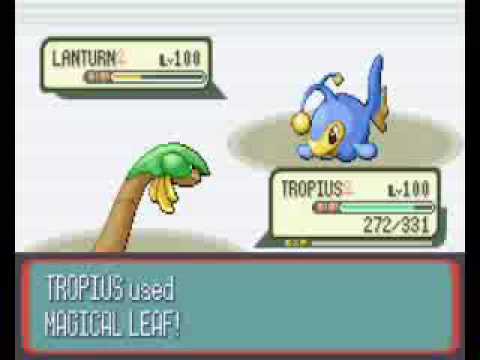 Me fighting the last trainer (7th) only with Tropius at Level 100...